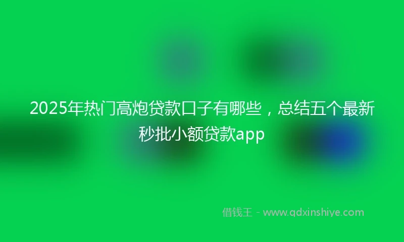 2025年热门高炮贷款口子有哪些，总结五个最新秒批小额贷款app