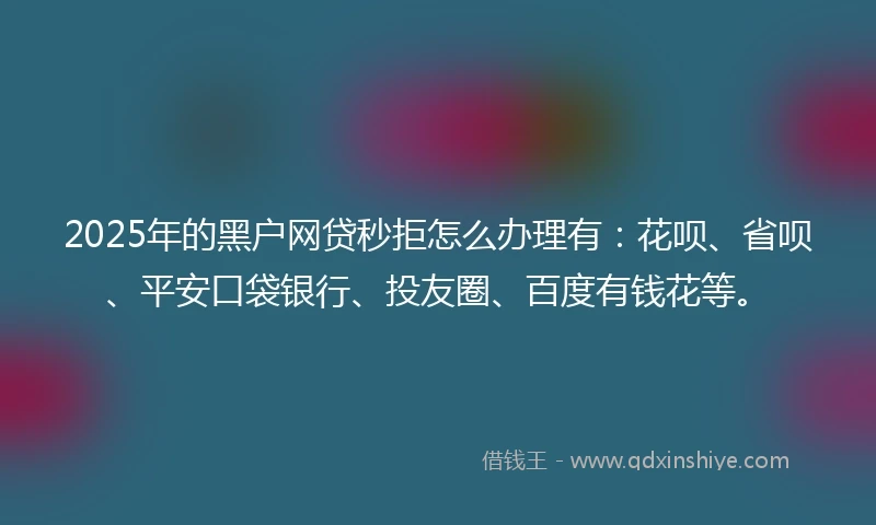 2025年的黑户网贷秒拒怎么办理有：花呗、省呗、平安口袋银行、投友圈、百度有钱花等。