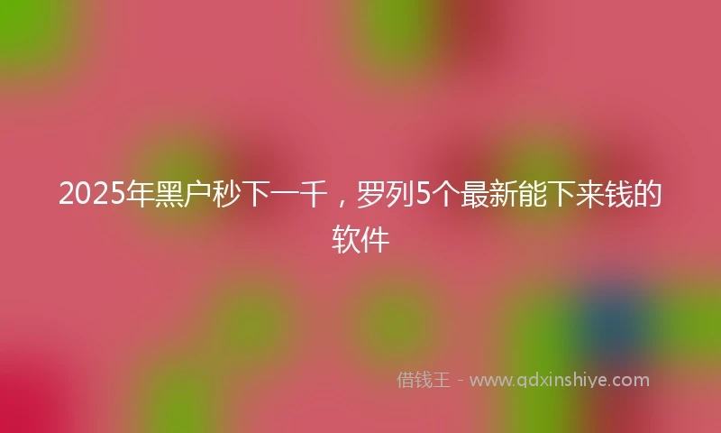 2025年黑户秒下一千，罗列5个最新能下来钱的软件
