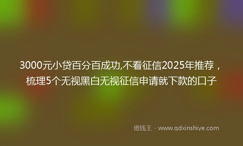 3000元小贷百分百成功,不看征信2025年推荐，梳理5个无视黑白无视征信申请就下款的口子