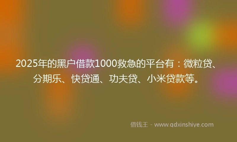 2025年的黑户借款1000救急的平台有：微粒贷、分期乐、快贷通、功夫贷、小米贷款等。