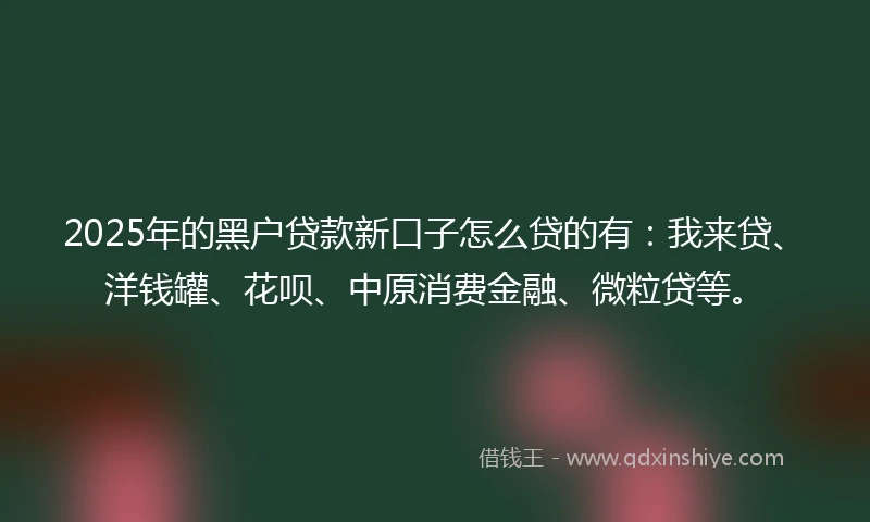 2025年的黑户贷款新口子怎么贷的有：我来贷、洋钱罐、花呗、中原消费金融、微粒贷等。