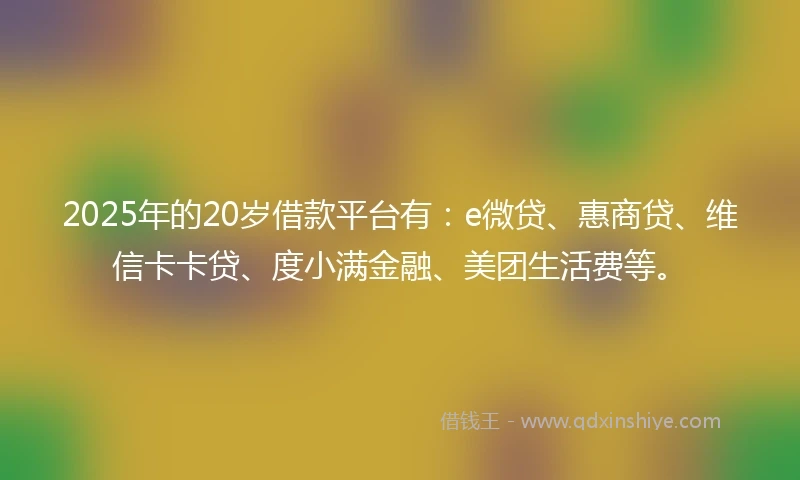 2025年的20岁借款平台有:e微贷、惠商贷、维信卡卡贷、度小满金融、美团生活费等。
