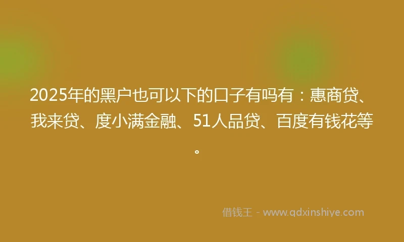 2025年的黑户也可以下的口子有吗有：惠商贷、我来贷、度小满金融、51人品贷、百度有钱花等。