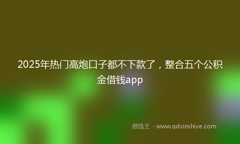 2025年热门高炮口子都不下款了，整合五个公积金借钱app
