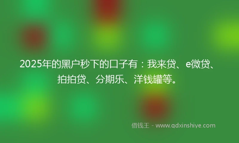 2025年的黑户秒下的口子有：我来贷、e微贷、拍拍贷、分期乐、洋钱罐等。