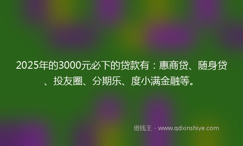 2025年的3000元必下的贷款有：惠商贷、随身贷、投友圈、分期乐、度小满金融等。