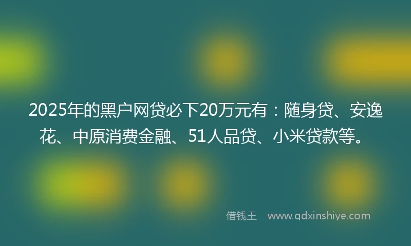 2025年的黑户网贷必下20万元有：随身贷、安逸花、中原消费金融、51人品贷、小米贷款等。