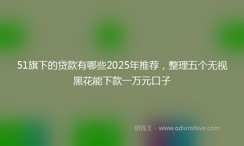51旗下的贷款有哪些2025年推荐，整理五个无视黑花能下款一万元口子