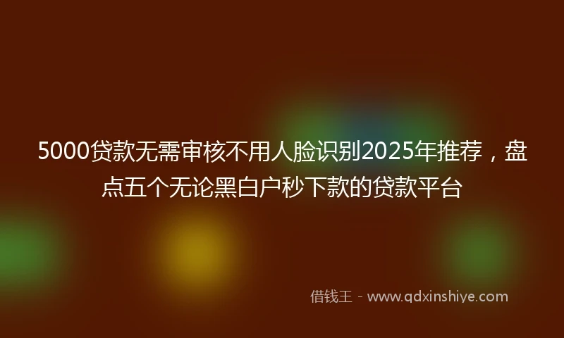 5000贷款无需审核不用人脸识别2025年推荐，盘点五个无论黑白户秒下款的贷款平台