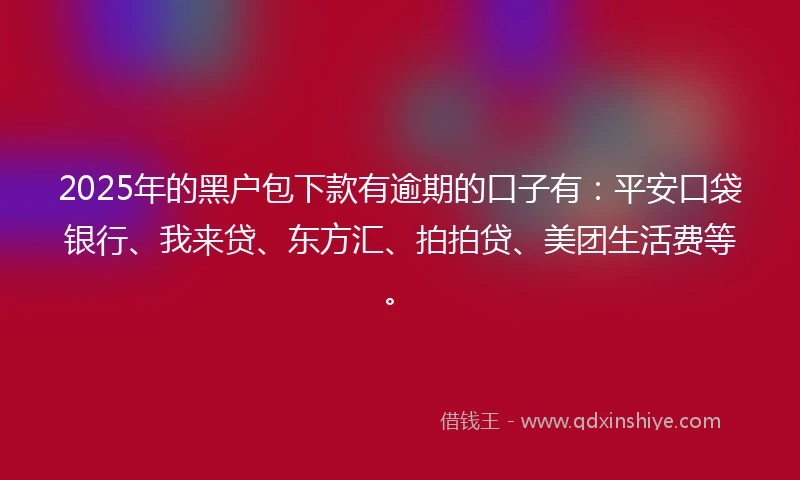 2025年的黑户包下款有逾期的口子有：平安口袋银行、我来贷、东方汇、拍拍贷、美团生活费等。
