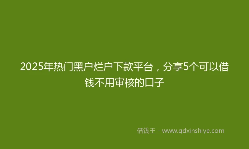 2025年热门黑户烂户下款平台，分享5个可以借钱不用审核的口子