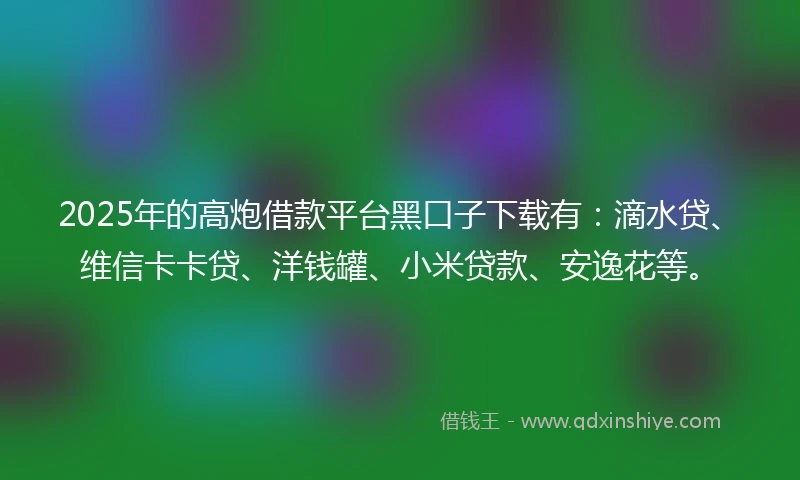 2025年的高炮借款平台黑口子下载有：滴水贷、维信卡卡贷、洋钱罐、小米贷款、安逸花等。