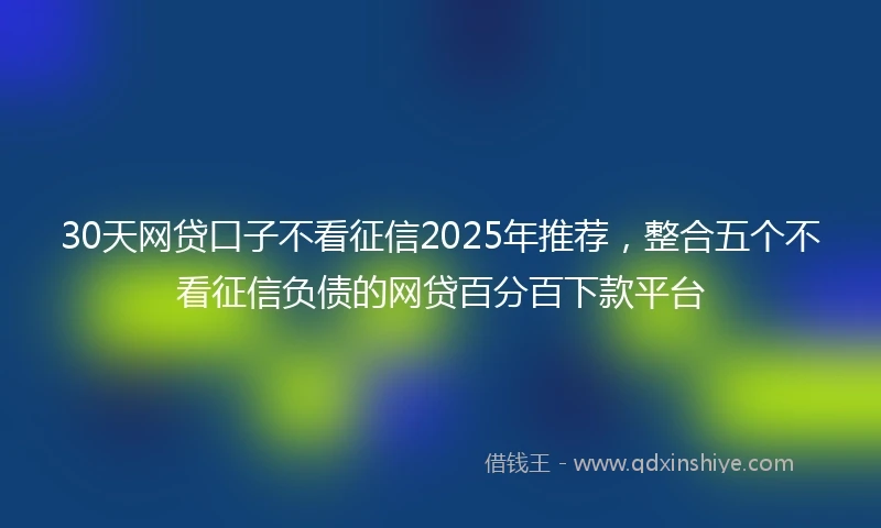 30天网贷口子不看征信2025年推荐，整合五个不看征信负债的网贷百分百下款平台