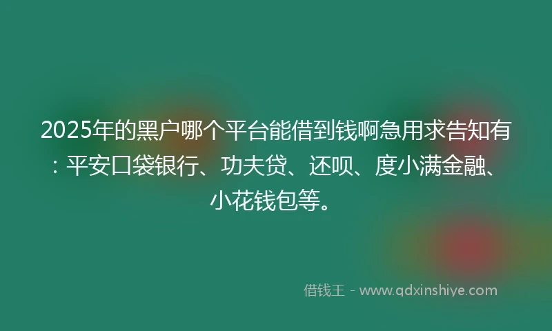 2025年的黑户哪个平台能借到钱啊急用求告知有：平安口袋银行、功夫贷、还呗、度小满金融、小花钱包等。