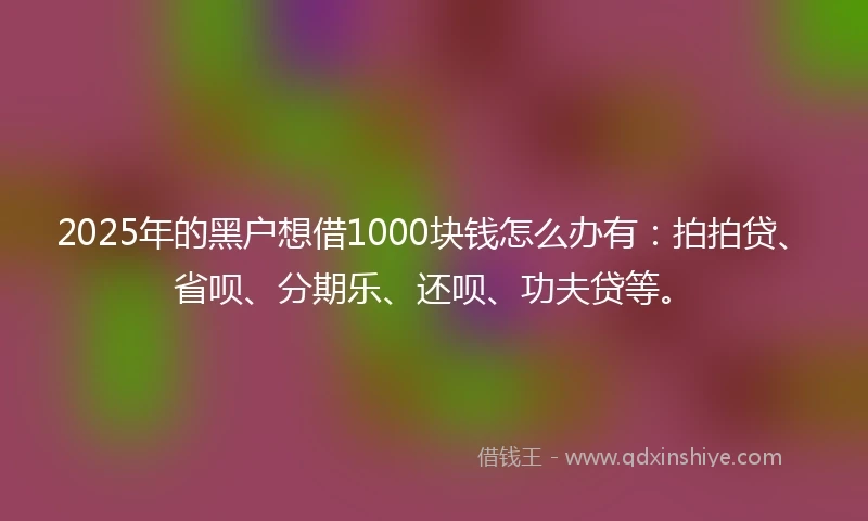 2025年的黑户想借1000块钱怎么办有：拍拍贷、省呗、分期乐、还呗、功夫贷等。