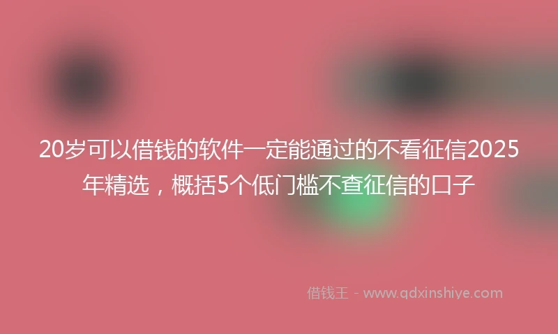 20岁可以借钱的软件一定能通过的不看征信2025年精选，概括5个低门槛不查征信的口子