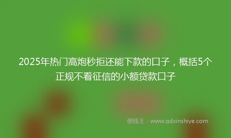 2025年热门高炮秒拒还能下款的口子，概括5个正规不看征信的小额贷款口子