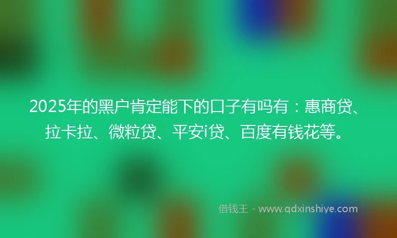 2025年的黑户肯定能下的口子有吗有：惠商贷、拉卡拉、微粒贷、平安i贷、百度有钱花等。