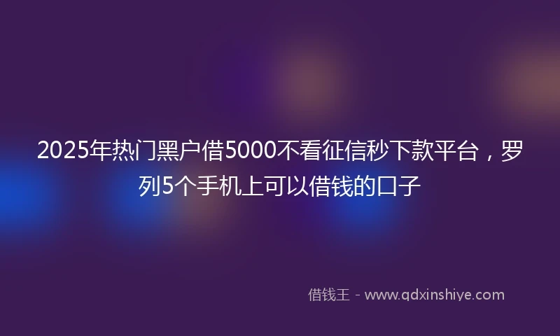 2025年热门黑户借5000不看征信秒下款平台，罗列5个手机上可以借钱的口子