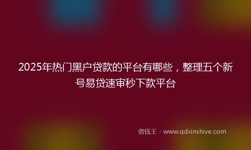 2025年热门黑户贷款的平台有哪些，整理五个新号易贷速审秒下款平台