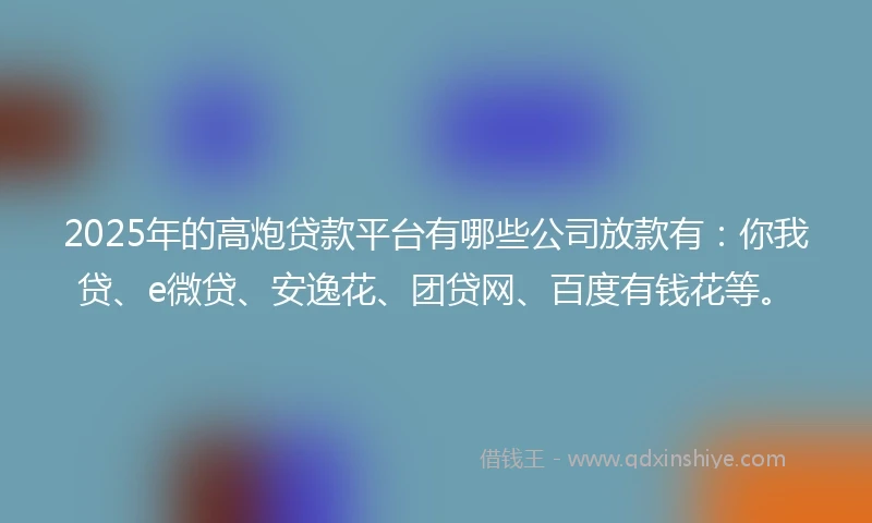 2025年的高炮贷款平台有哪些公司放款有：你我贷、e微贷、安逸花、团贷网、百度有钱花等。