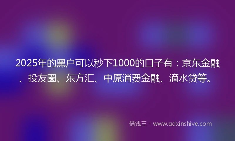 2025年的黑户可以秒下1000的口子有：京东金融、投友圈、东方汇、中原消费金融、滴水贷等。
