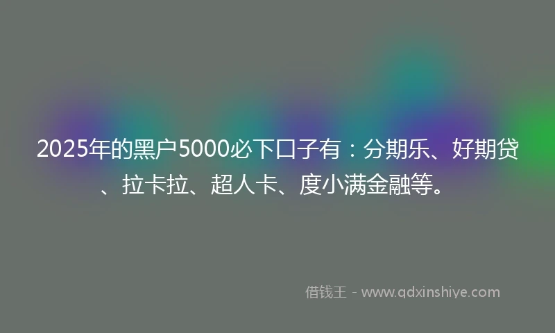 2025年的黑户5000必下口子有：分期乐、好期贷、拉卡拉、超人卡、度小满金融等。