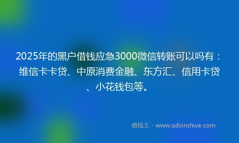 2025年的黑户借钱应急3000微信转账可以吗有：维信卡卡贷、中原消费金融、东方汇、信用卡贷、小花钱包等。