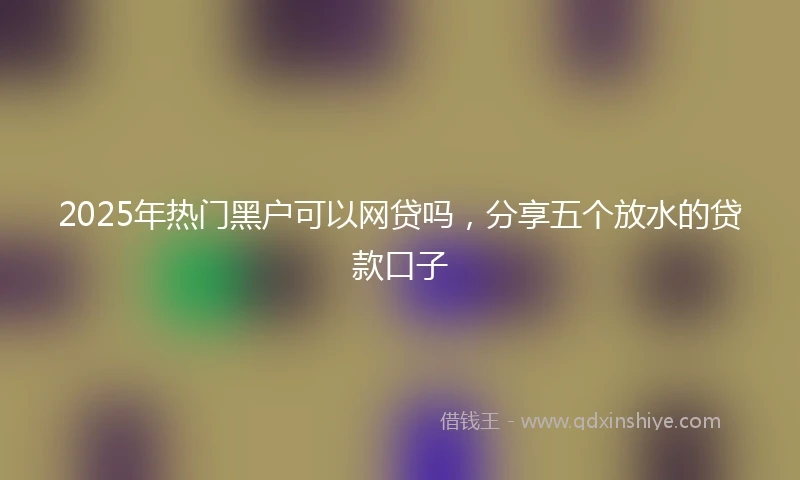 2025年热门黑户可以网贷吗，分享五个放水的贷款口子