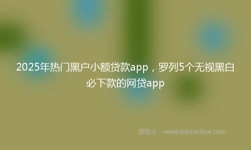 2025年热门黑户小额贷款app，罗列5个无视黑白必下款的网贷app
