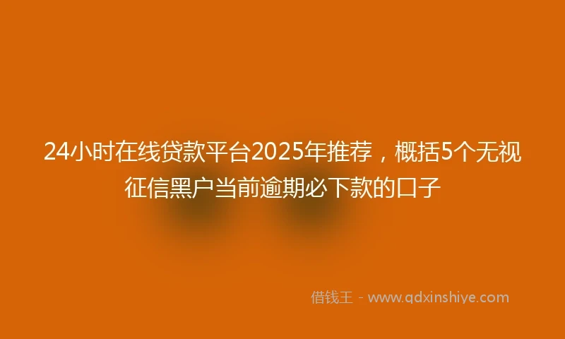 24小时在线贷款平台2025年推荐，概括5个无视征信黑户当前逾期必下款的口子