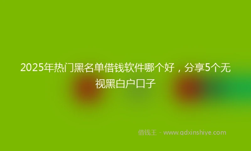 2025年热门黑名单借钱软件哪个好，分享5个无视黑白户口子