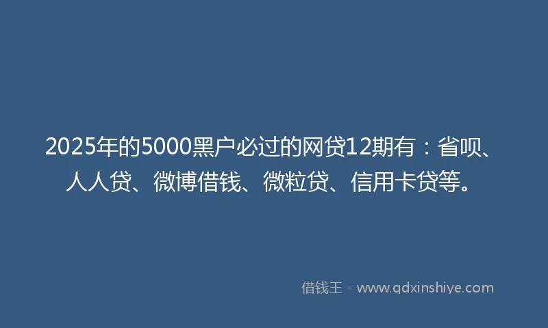2025年的5000黑户必过的网贷12期有：省呗、人人贷、微博借钱、微粒贷、信用卡贷等。