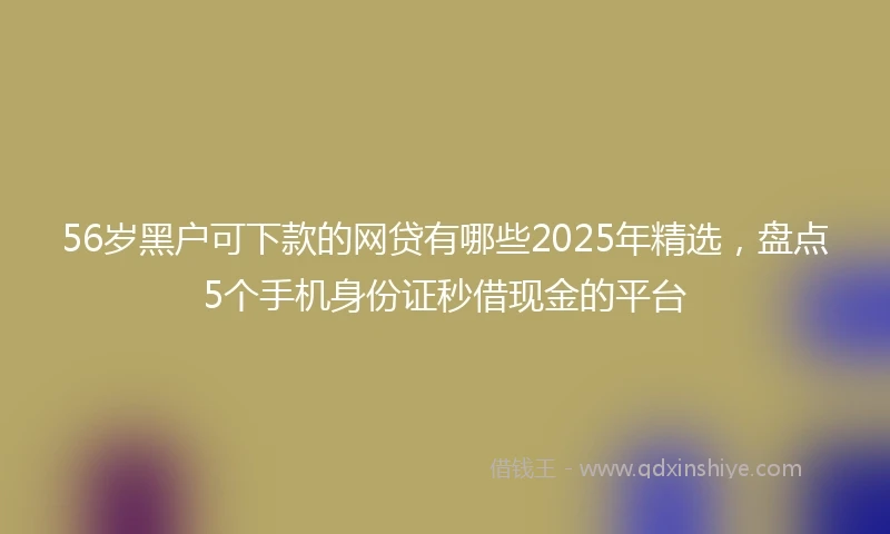 56岁黑户可下款的网贷有哪些2025年精选，盘点5个手机身份证秒借现金的平台