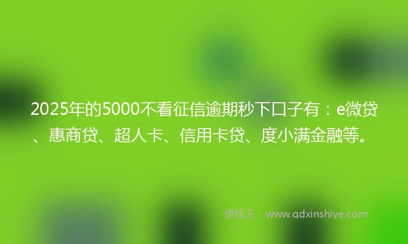 2025年的5000不看征信逾期秒下口子有：e微贷、惠商贷、超人卡、信用卡贷、度小满金融等。