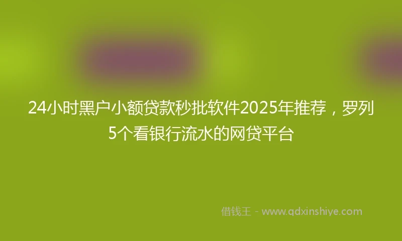 24小时黑户小额贷款秒批软件2025年推荐，罗列5个看银行流水的网贷平台