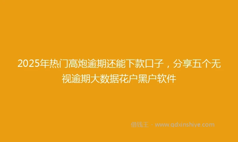 2025年热门高炮逾期还能下款口子，分享五个无视逾期大数据花户黑户软件
