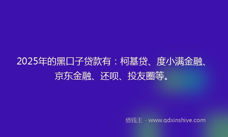 2025年的黑口子贷款有：柯基贷、度小满金融、京东金融、还呗、投友圈等。