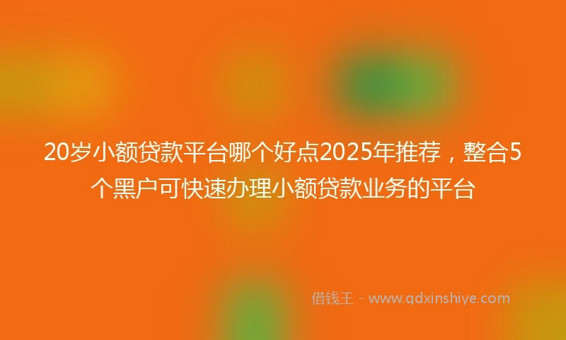 20岁小额贷款平台哪个好点2025年推荐，整合5个黑户可快速办理小额贷款业务的平台