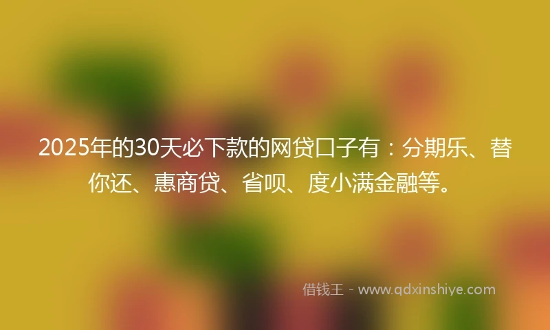 2025年的30天必下款的网贷口子有：分期乐、替你还、惠商贷、省呗、度小满金融等。