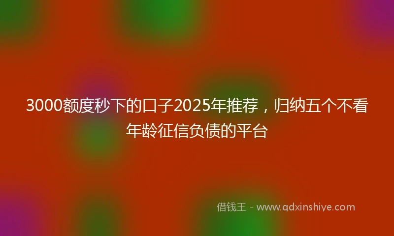 3000额度秒下的口子2025年推荐，归纳五个不看年龄征信负债的平台