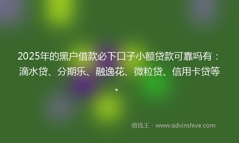 2025年的黑户借款必下口子小额贷款可靠吗有：滴水贷、分期乐、融逸花、微粒贷、信用卡贷等。