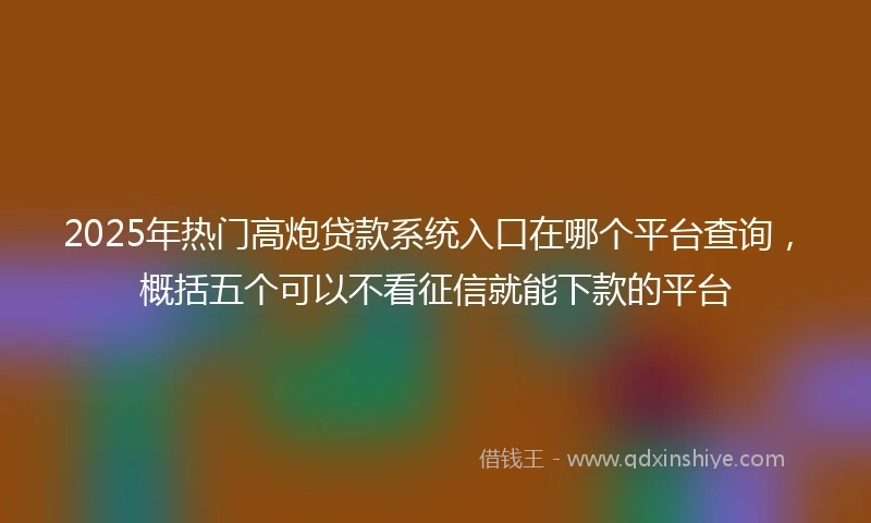 2025年热门高炮贷款系统入口在哪个平台查询，概括五个可以不看征信就能下款的平台