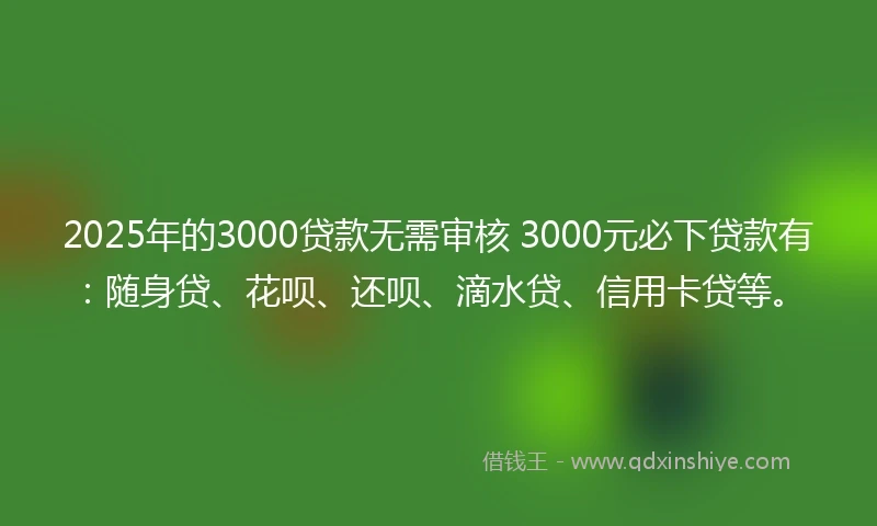 2025年的3000贷款无需审核 3000元必下贷款有：随身贷、花呗、还呗、滴水贷、信用卡贷等。
