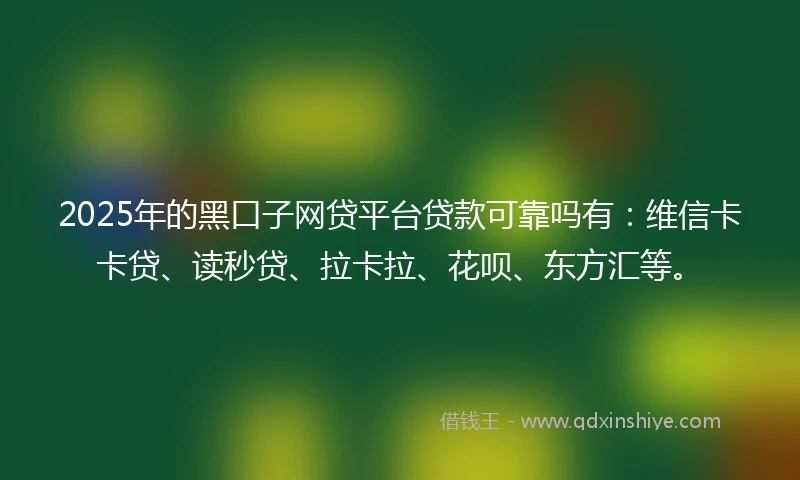 2025年的黑口子网贷平台贷款可靠吗有：维信卡卡贷、读秒贷、拉卡拉、花呗、东方汇等。