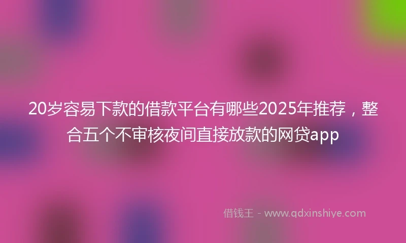 20岁容易下款的借款平台有哪些2025年推荐，整合五个不审核夜间直接放款的网贷app