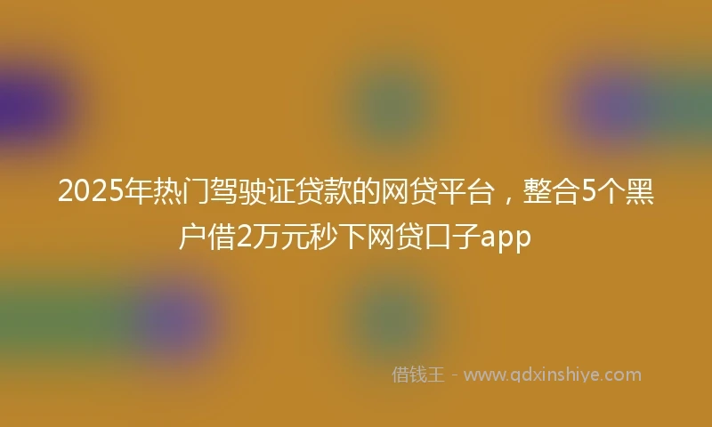 2025年热门驾驶证贷款的网贷平台，整合5个黑户借2万元秒下网贷口子app