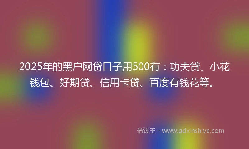 2025年的黑户网贷口子用500有：功夫贷、小花钱包、好期贷、信用卡贷、百度有钱花等。