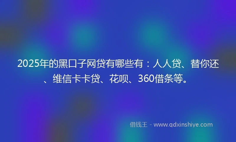 2025年的黑口子网贷有哪些有：人人贷、替你还、维信卡卡贷、花呗、360借条等。